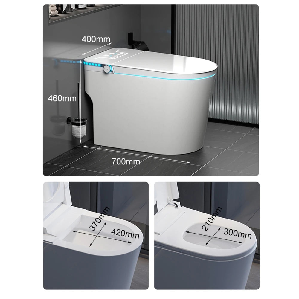Luxury Toilet Bowl One Piece Japanese Toilet Bidet Siphonic Flushing Bathroom WC Ceramic Automatic Smart Toilet Chaozhou